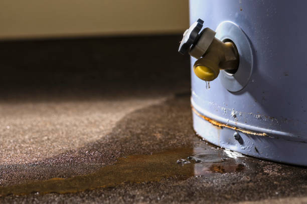 Best Water damage restoration company  in Kuna, ID