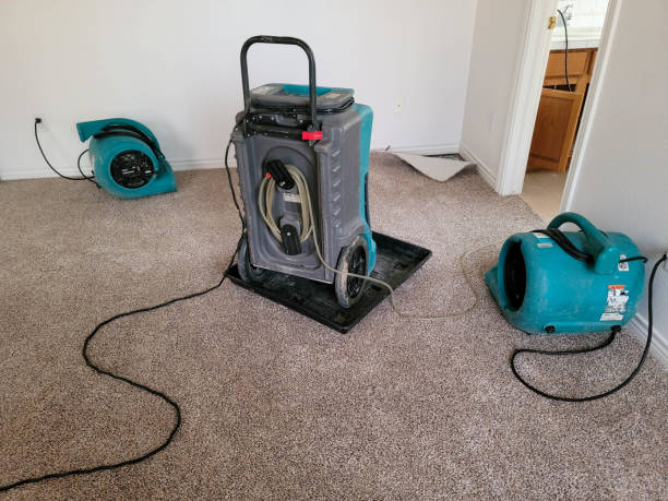 Best Water damage restoration near me  in Kuna, ID