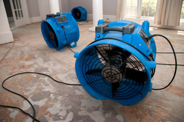 Best 24-hour water damage restoration  in Kuna, ID