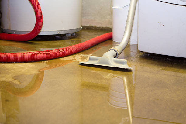 Carpet water damage restoration in Kuna, ID