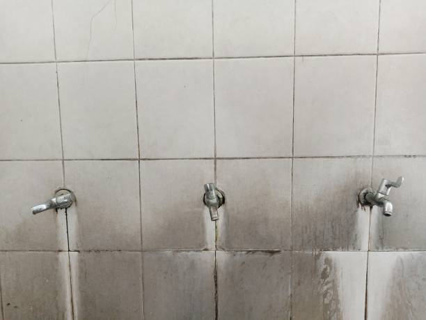Best Ceiling water damage repair  in Kuna, ID